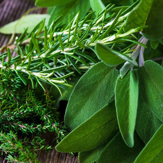 Organic herbs used in organic skin care and natural skin care must be of the highest quality to be effective for skin